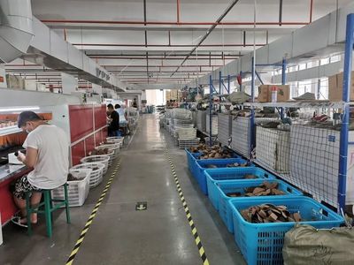 走出&ldquo;足下經(jīng)濟(jì)&rdquo;新道路 探秘橫峰鞋業(yè)涅盤重生