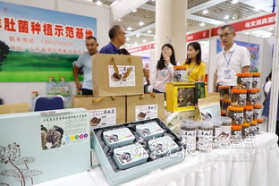 魚臺79家企業亮相省城，生態農產品與保潔服務雙星閃耀